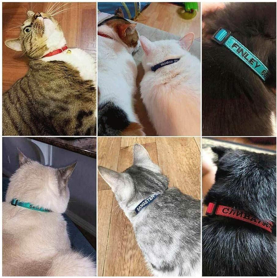 Collar para gato